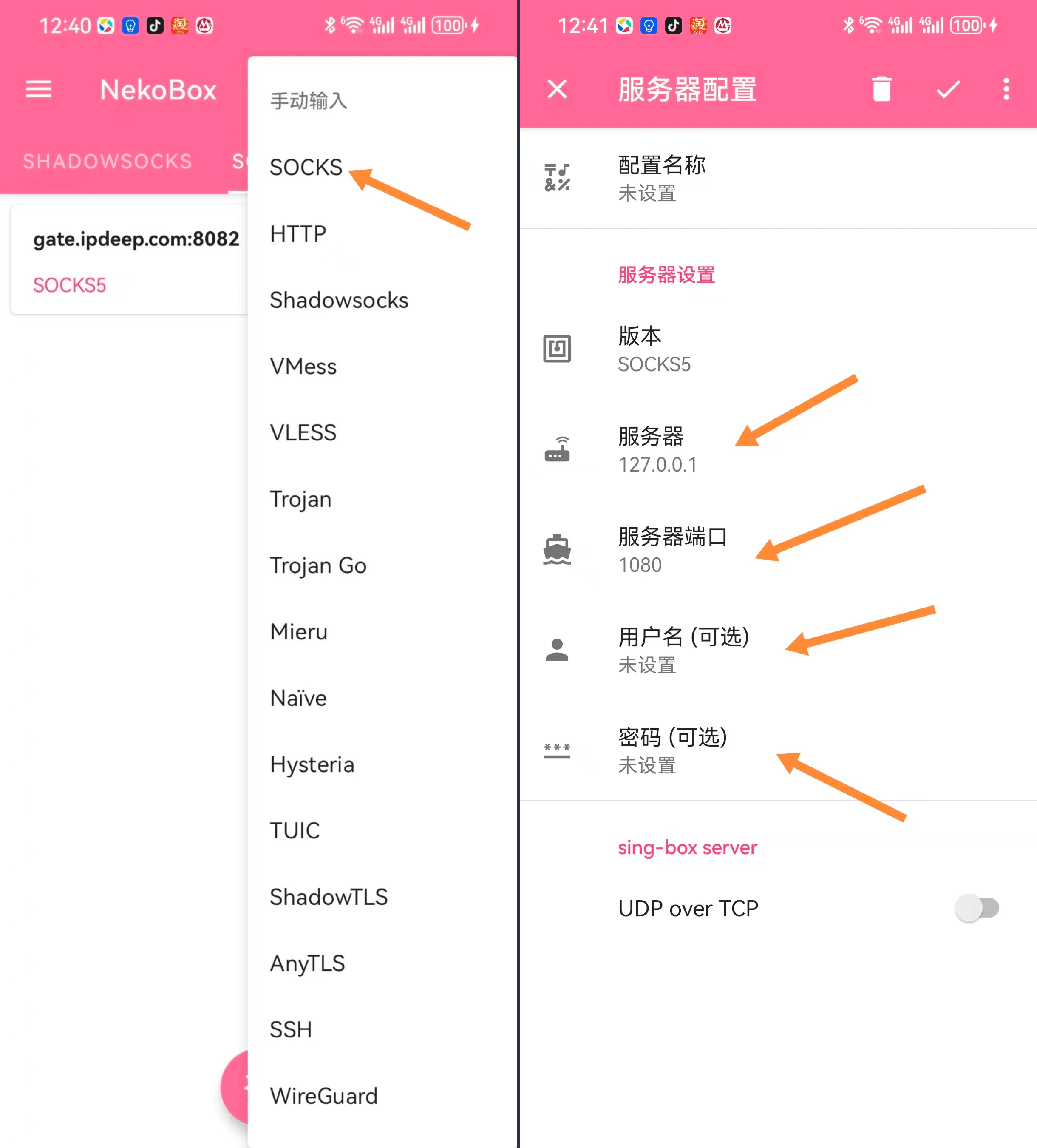导入socks5代理ip