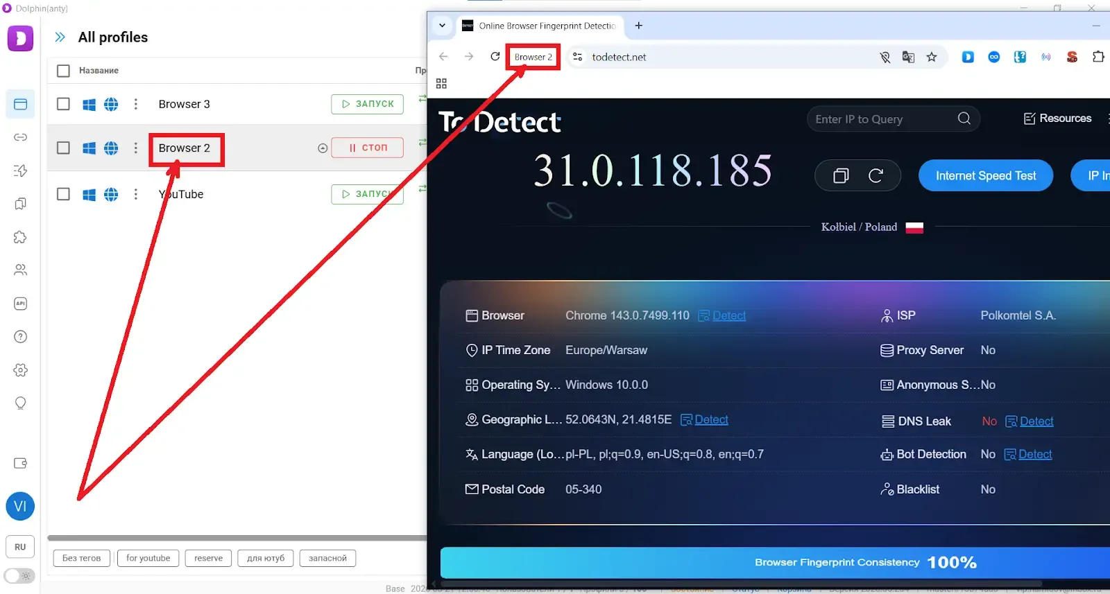 Dolphin (Anty) Browser + ToDetect