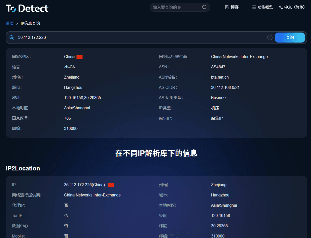 ToDetect IP偵測工具