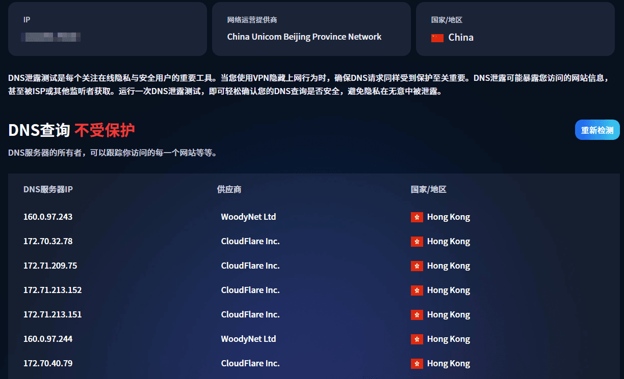 DNS 洩漏檢測工具