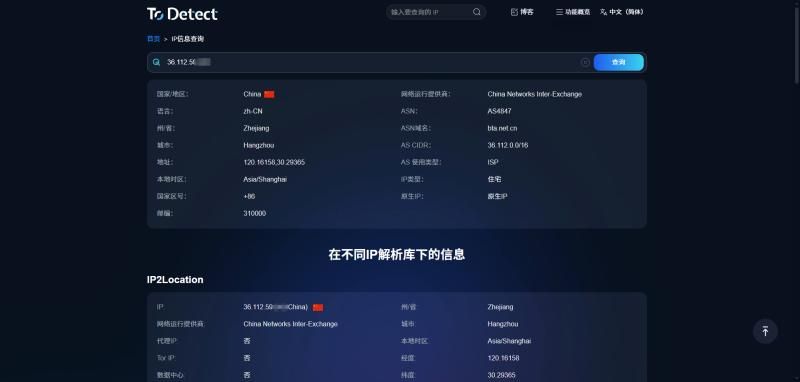 ToDetect IP 檢測工具